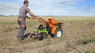 Изображение Как лучше выкопать мотоблоком картошку?